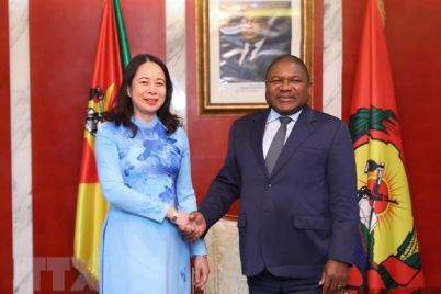 ttxvnvo_thi_anh_xuan_hoi_kien_tong_thong_mozambique__6977541.jpeg